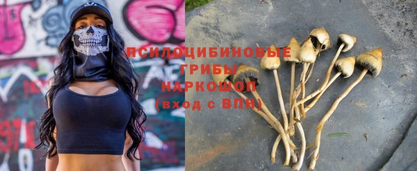 гидра Белоозёрский