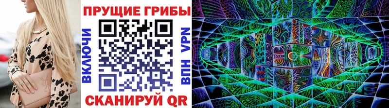 Галлюциногенные грибы GOLDEN TEACHER  omg как зайти  Видное  где найти наркотики 