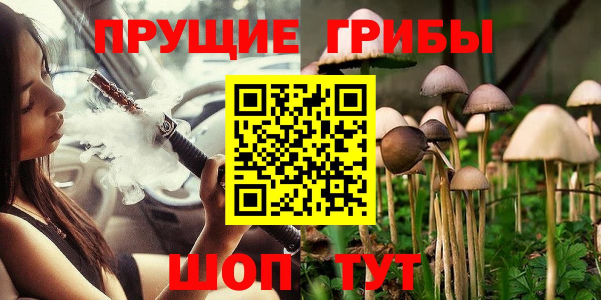 Видное  Псилоцибиновые грибы Psilocybine cubensis  Вход с VPN  Галлюциногенные грибы ЛСД 