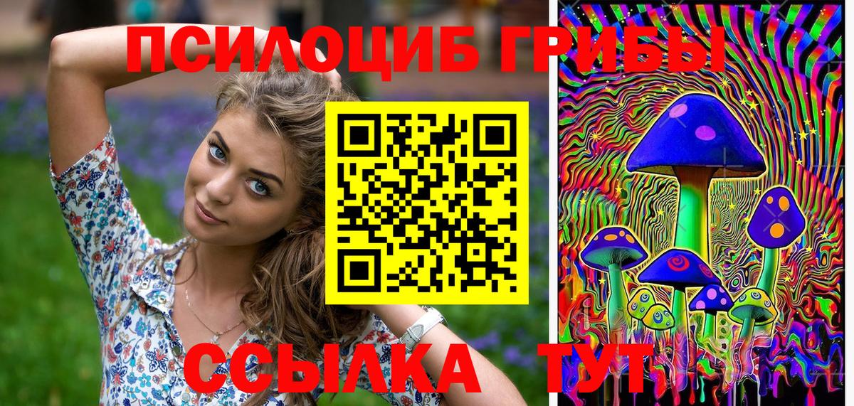 Псилоцибиновые грибы прущие грибы Видное